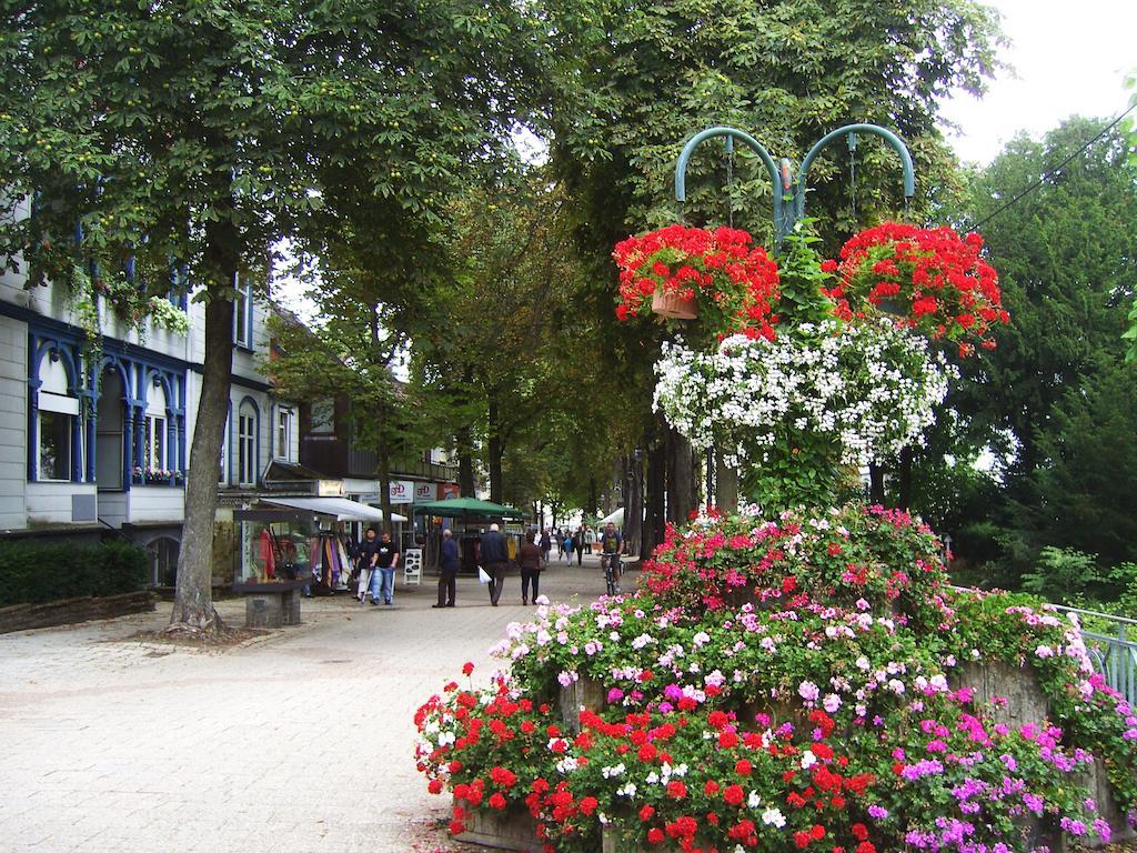 Harzburger Ferienwohnung Bad Harzburg Pokój zdjęcie